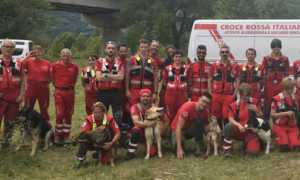 croce rossa cani masera 18