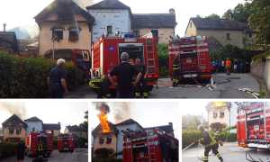 divin fiamme domate mix