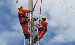 enel