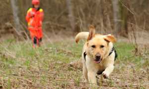 esercitazione anpas1