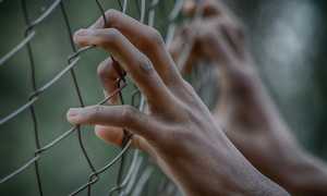 fence g972d85da2 640