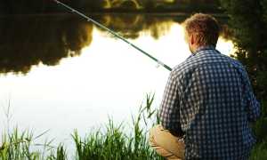 fishing 1331930 640