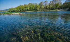 fiume foto