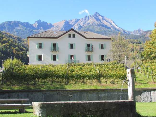 fobelli crodo