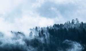 fog g53a0fa187 640
