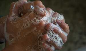 hands 2238235 640