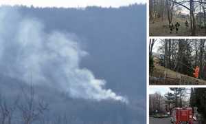 incendio bosco domo