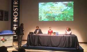 libro ciurleo fabbrica 18 streghe