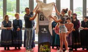 luigi fradelizio comm1