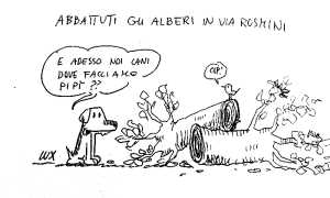 lux alberi