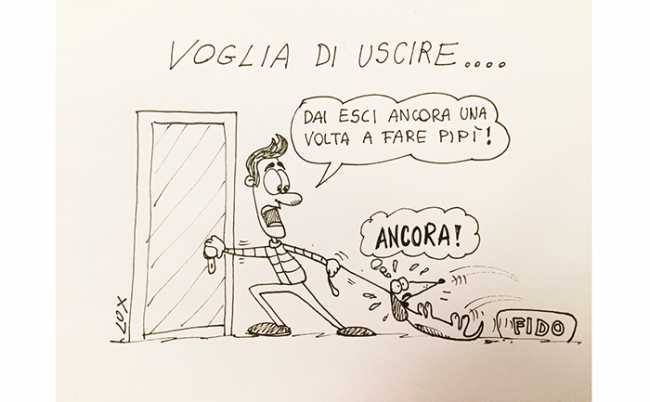 lux cane pipi