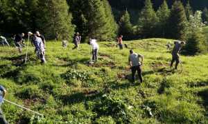 miglioramenti ambientali
