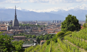 mole torino