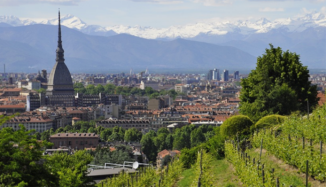 mole torino vigna