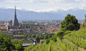 mole torino vigna