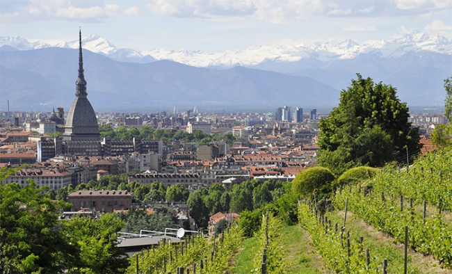 mole torino vigna