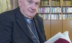 monsBrambillaLibroSinodo 570x768