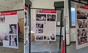 mostra megolo