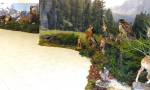 mostra ANIMALI SELVATICI CACCIA FABBRICA 18