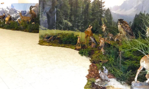 mostra ANIMALI SELVATICI CACCIA FABBRICA 18