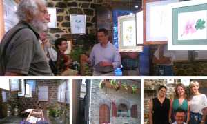 mostra erbe casa podesta 18 mix