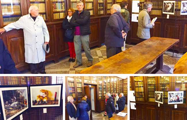 mostra guerra conflit rota mix