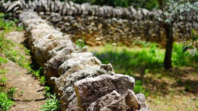 muro