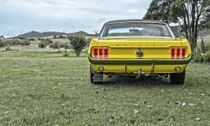 mustang