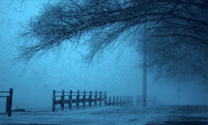 neve