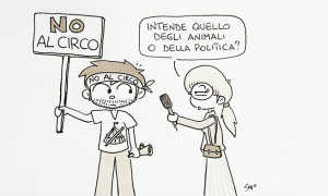 no circo sapo