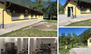 oasi preglia mix 19