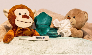 orsetti letto influenza