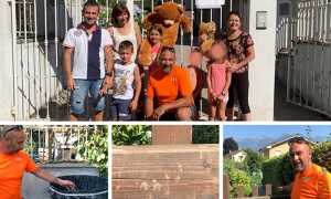 orso crevola mix 2