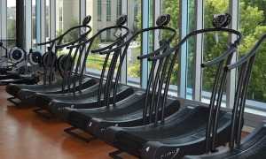 palestra