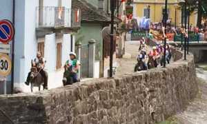 palio asini premosello