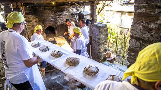 pane nero antrona forno