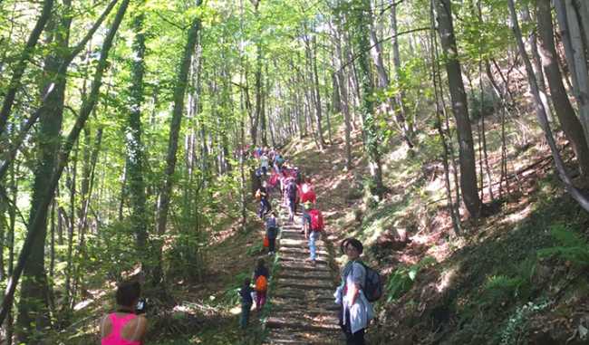 passeggiata enogastronomica domo 17 mulattiera bosco sentiero