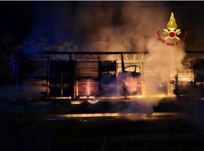 photo 2025 06 06 09 40 40