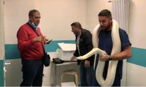 qua zampa serpente