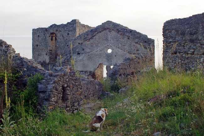 ruderi