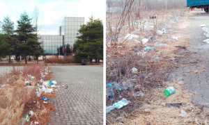 scalo domo due rifiuti mix 18