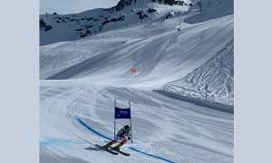 sci dsando francesi