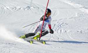 sci slalom paletto speciale