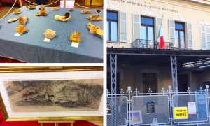 societa operaia domo mostra natura 17