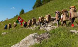 spalloni