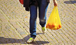 spesa gambe sacchetto