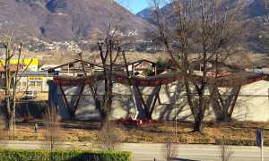 taglio piante briganti