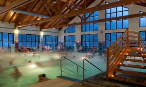 terme premia