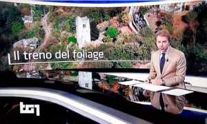 tg vigezzina 19