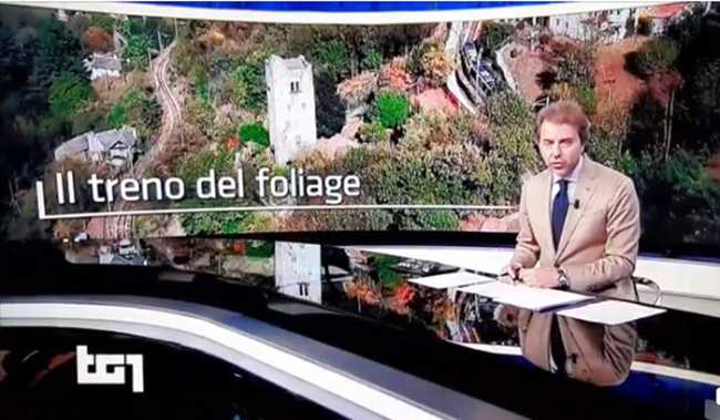 tg vigezzina 19
